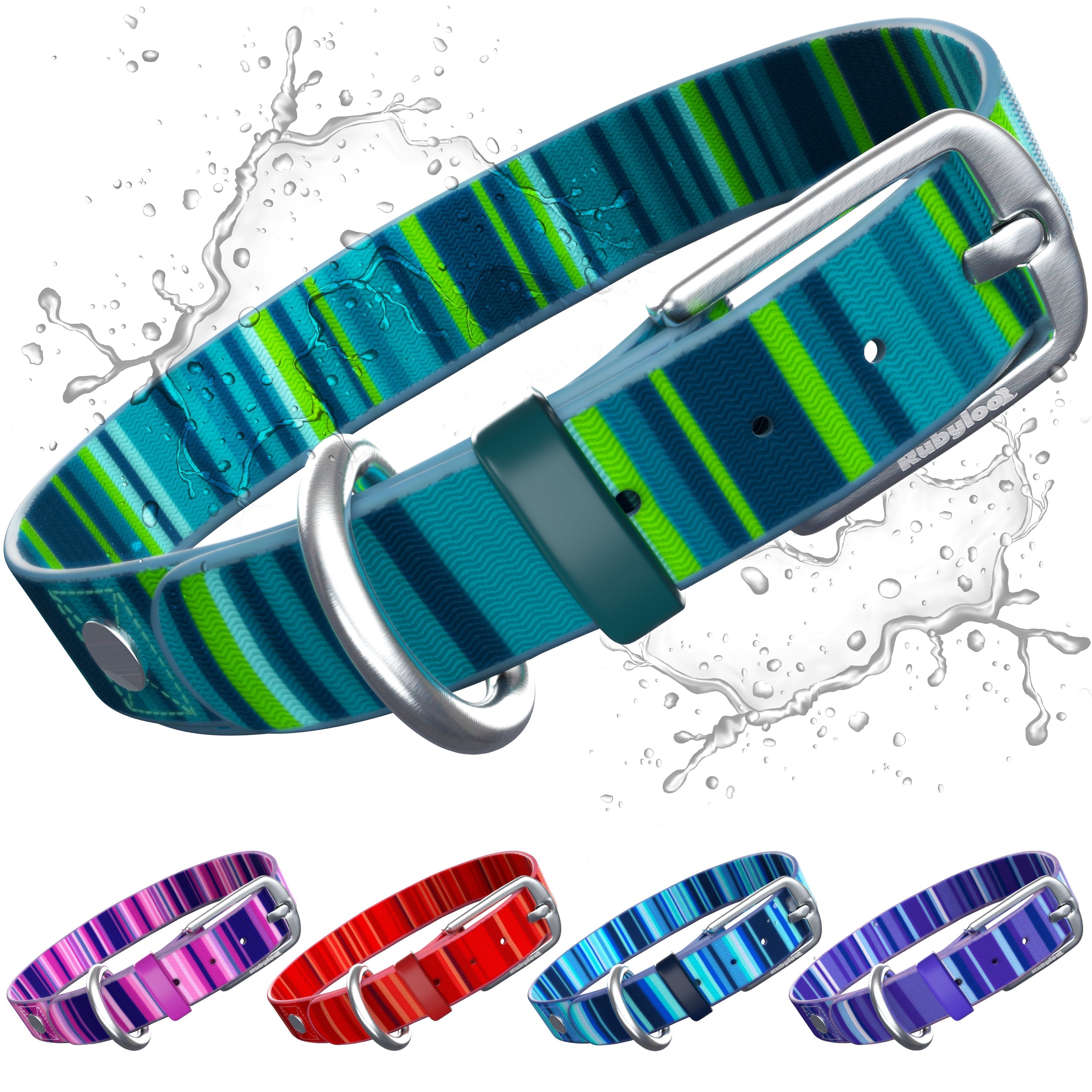Collars and Leashes